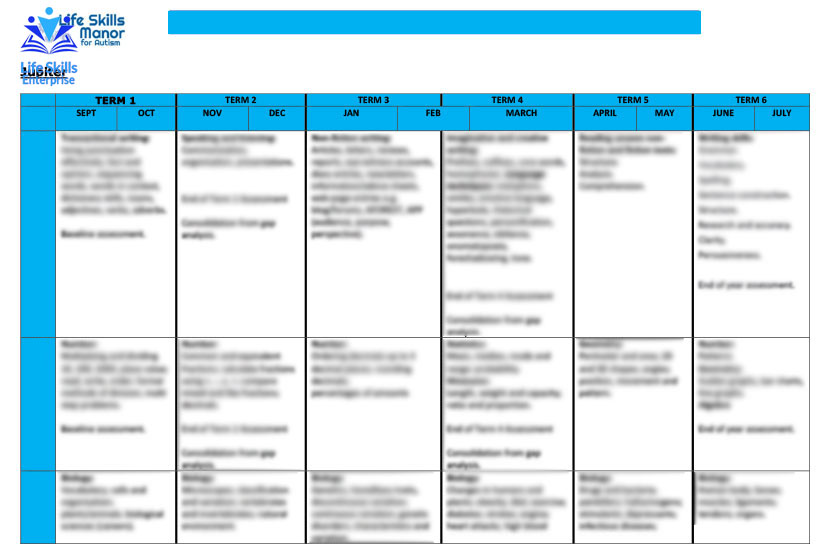 Class Curriculum Map